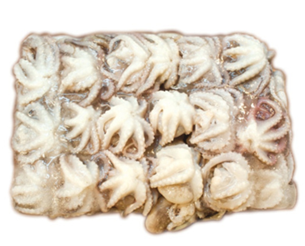 Squid Baby Octopus Cleaned