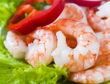 shrimp16